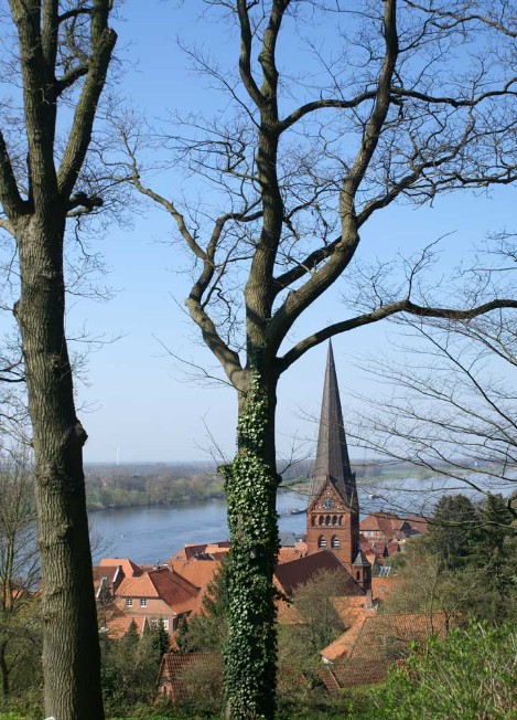 Lauenburg, Elbe hinter Bäumen, Altstadt, Kirche