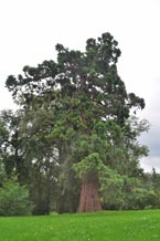 Reichstag am 3. Oktober 1990